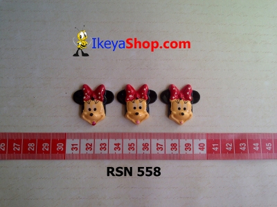 rsn 558  large2